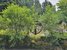 Scheidegger Wasserfälle 2821_05