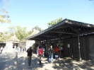 Mitte