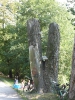 Park am Weißensee 3616_13