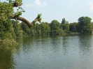 Weißensee 3616_02
