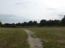 Spektewiesen