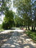 Spandau