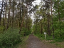 Hennigsdorfer Wald 1917
