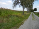 Radweg Neu Vehlefanz_03