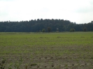 Radweg Neu Vehlefanz