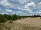 Schönower Heide bei Bernau 2714_09